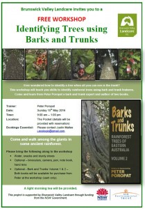 Identifying Trees using Barks and Trunks