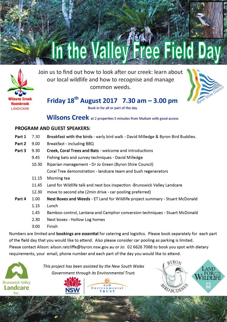 In the Valley field day - print