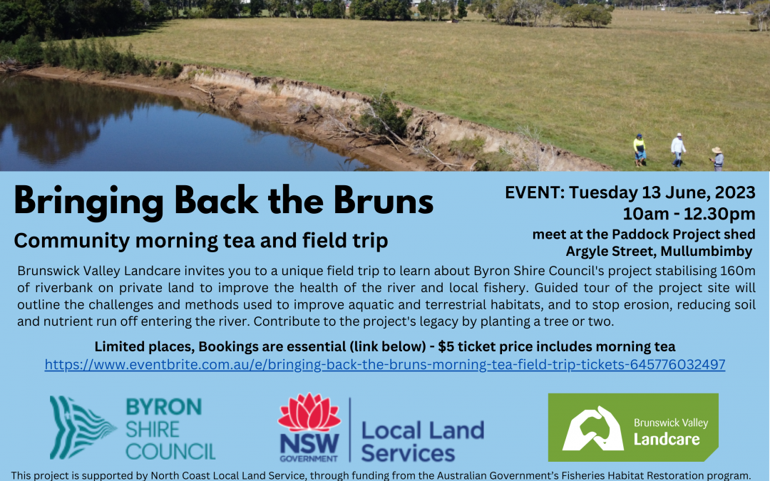“Bringing Back the Bruns” community morning tea & field trip