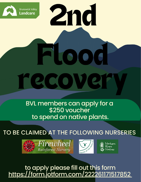2nd flood recovery vouchers