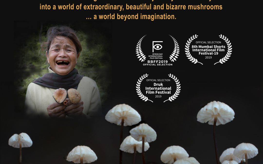 Planet Fungi film fundraiser