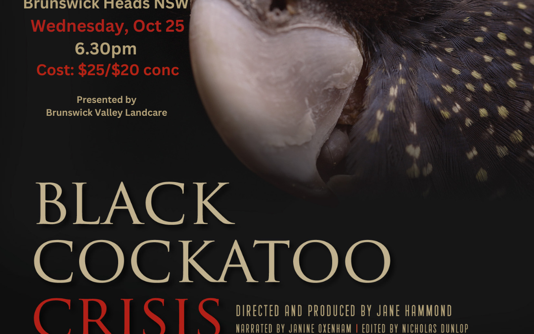 Black Cockatoo Crisis film