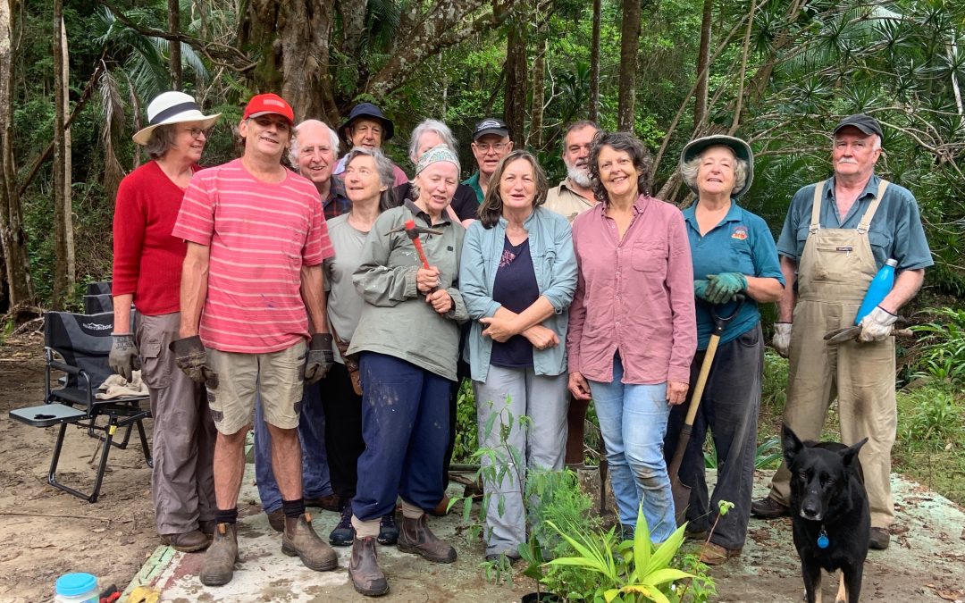 Back to the rain forest   – 25 plus years of landcare life in Upper Mullumbimby Creek.