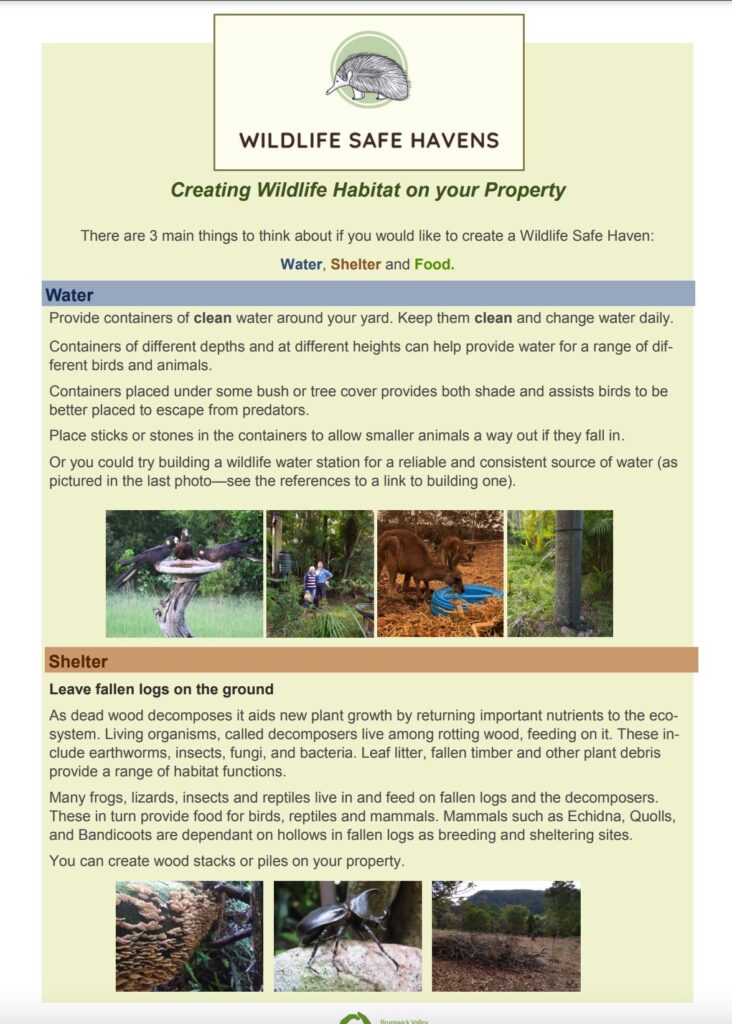 BVLs Wildlife Safe Havens