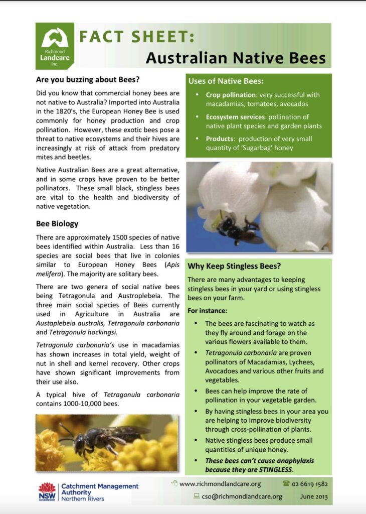 Native Bees Richmond Landcare Introductory Fact Sheet​