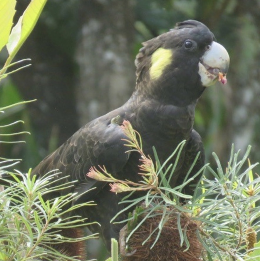 Get Involved Image 1