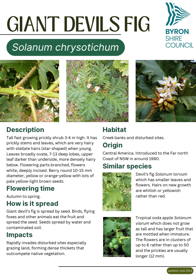 Weed page Website image